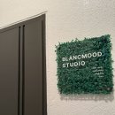 서울포이초등학교 | [블랑무드 스튜디오] 초보 웨딩스냅 촬영 후기