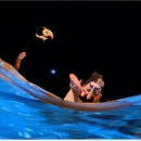 어린이 인형극 루루섬의 비밀 이미지