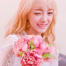 꽃길라이브