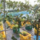 예성농장 이미지