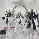 Glory Star 이미지