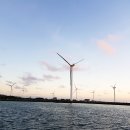 신창싱계물 이미지