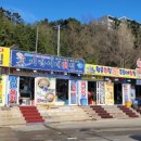 미란이네식당