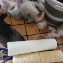 바이오시스템이엔지(주) | 대호이엔지필트리오 수도정수기 수전 정수필터4개월 사용 후기