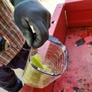 병주농장 이미지