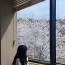 아이숲약국 | 마산내서 드라이브 카페 추천 | 마산 벚꽃 카페 | 마산 버터떡 카페 | "오도막 베이커리 카페"