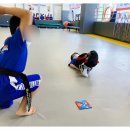 FTC 호림 합기도 이미지