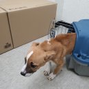 장안문지구대 이미지