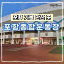 시민운동장 | 포항시민 건강 명소, 포항종합운동장 개방시간 이용 후기