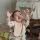 범아농장 | 11개월 아기 육아일상 - 첫 미용실, 첫 키즈카페, 첫 문센, 첫 코감기 그리고... 어린이집!!!
