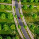 (Jun. 28th Sat) Planting Trees Not Enough to Offset Carbon Emissions 이미지