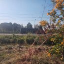 길상주유소 이미지