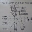 비경(삼음교혈)남녀 생식기질환.월경과다.자궁출렬..다리.무릎.과로 이미지