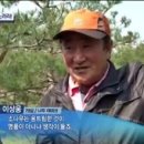 이상웅농장 네이버블로그