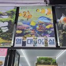 젊은열대어 이미지