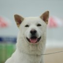 달아실 농원 이미지