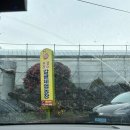 어물농장 이미지