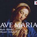 아베(AVE) 이미지