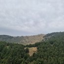 오름농장 이미지