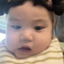 인생은알콜이야 이미지