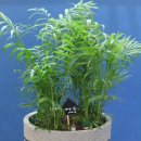 화정봄약국 이미지