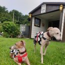 아토스테이 이미지