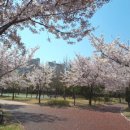 광양백운초등학교 이미지