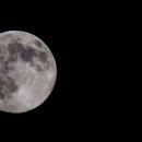 도전세일즈맨 이미지