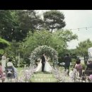 [결혼준비] 본식 DVD 예약 완료 : 더그레이스무비 (The Grace Movie) 계약 후기
