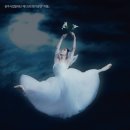 광주시립발레단 제135회 정기공연 이미지