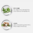 그린워터 - 서구 변동로 39-2 | 그린워터