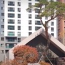 안산해솔초등학교 이미지