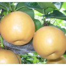 강대희한의원 이미지