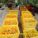 서촌농장 이미지