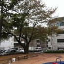 큰성말공원 이미지