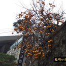 서하남배다리주유소 이미지