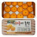 정착농장 | 제주천혜향 5KG, 제주다둥이농장 천혜향선물세트 솔직 후기