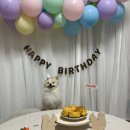 콩지네 부엌 이미지