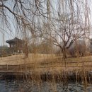 (주)석교주유소 이미지