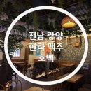 호맥 중마점 | 광양 가성비 술집 추천 한라맥주 호맥