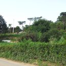 고골농장 이미지