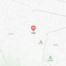 약선오리