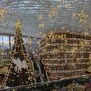 풀꽃동산작은도서관 | 2025 서울트리명소 별마당도서관 크리스마스 트리 포토존 TOP3 기간 주차 정보