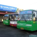 고령시외버스터미널 Daum카페