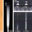 소프트시스템 이미지