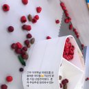 비비물랭