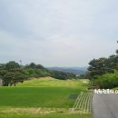 주식회사 태광 | 아기자기한코스~ 비기너도 무난히 즐길수있는 스카이밸리cc 밸리코스=>스카이코스 라운딩 다녀왔어요~