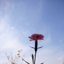 금정체육공원 이미지