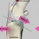 배방동물병원 이미지