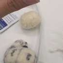 세동코비즈(주) | 안산 중앙동 구들공방 ✨ 양모펠트 강아지 비숑만들기 어렵지 않아요😆